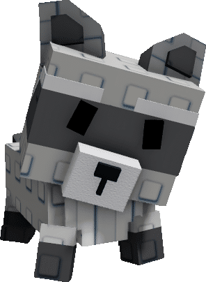 Raccoon